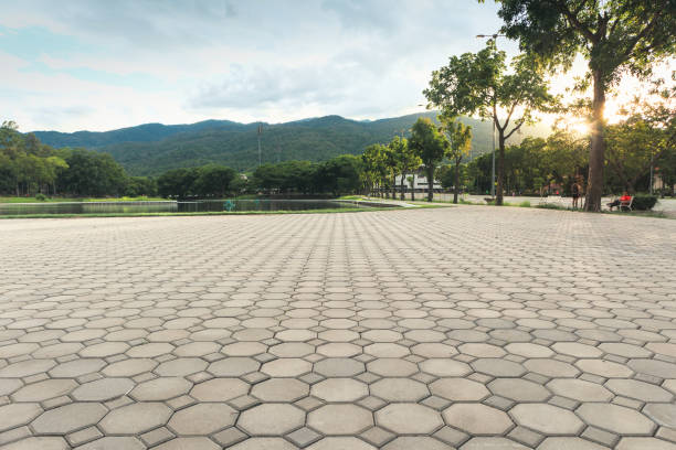 Best Driveway Pavers Near Me  in Paxton, IL