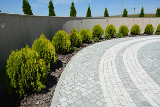 Best Driveway Pavers Near Me  in Paxton, IL